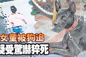 女童被狗追疑受驚嚇猝死