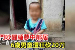 敲門吵醒睡夢中鄰居6歲男童遭狂砍20刀