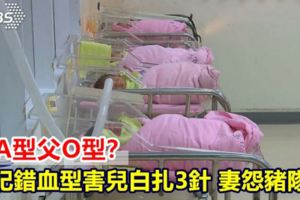 兒A型父O型？他記錯血型害兒白扎3針妻怨豬隊友