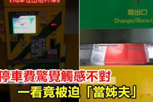 繳停車費驚覺觸感不對一看竟被迫「當姊夫」