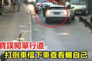 【視頻】三寶誤闖單行道打倒車檔下車查看輾自己