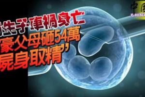 獨生子車禍身亡富豪父母砸54萬「屍身取精」