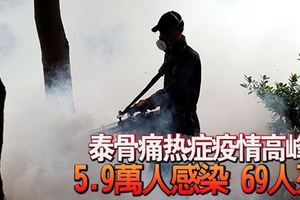 泰骨痛熱症疫情高峰5.9萬人感染69人死