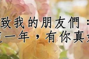 致我的朋友們：這一年，有你真好