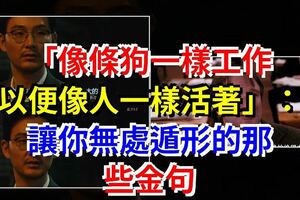「像條狗一樣工作，以便像人一樣活著」：讓你無處遁形的那些金句