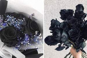 韓國新流行！情人節送「黑色玫瑰花」　花語超霸氣：你永遠只屬於我
