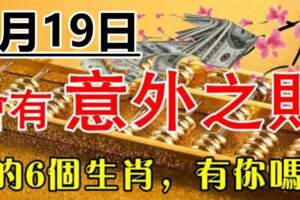 一筆意外之財進口袋，8月19日大財小財統統來的生肖