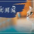 寵業周報丨京東寵物戰略升級；新瑞鵬元宇宙醫院上線；京寵展延期