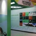 「穿越」熊貓生態走廊 大熊貓國家公園設立一周年展在成都開展