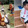 11歲童偷開車　高速衝撞僧侶朝聖隊伍
