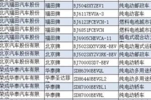 工信部發布第8批新能源汽車推薦目錄，273款車型入選