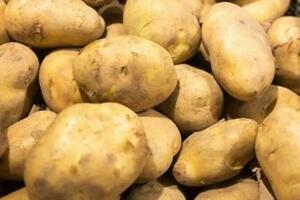 馬鈴薯是土豆嗎？土豆是如何成為人類食物的？