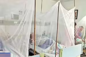 病毒傳播恐重演！中國又爆發「恐怖疾病」　WHO示警了