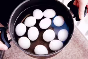 「每日1蛋」會怎樣？營養師實測一週「身體變化令她改觀」