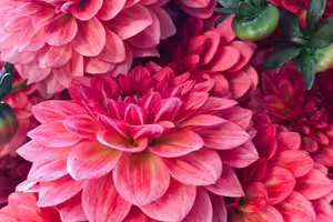 財神保佑！3生肖「財運爆發」　貴人福運降臨