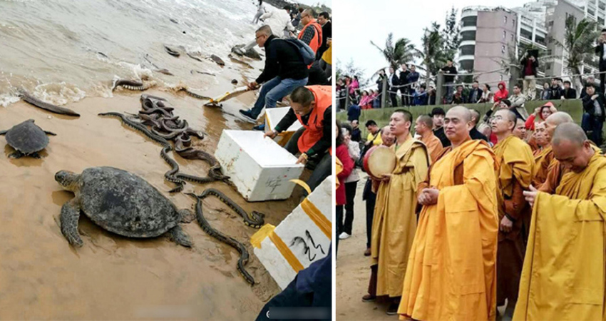 信徒放生釀大禍！海灘當晚出現可怕一幕　消防趕來發現大悲劇…網全怒了
