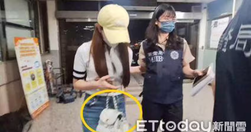 快訊／家寧媽20萬交保 母妹皆限制出境