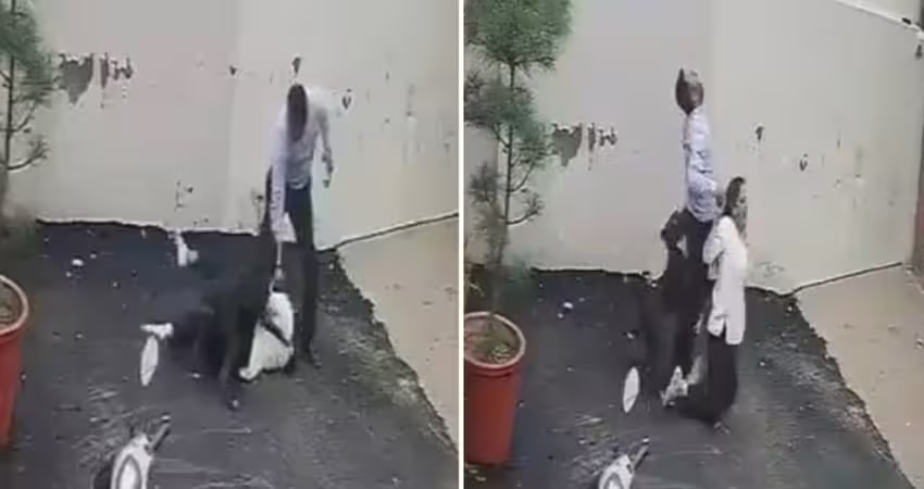 看房驚動惡犬　夫妻遭撕咬送醫慘了