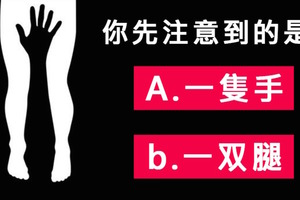 一張圖！看你是感性派還理性派！ 