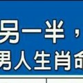 照顧疼愛另一半，不求回報的男人生肖命格