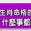 很重要《什麼生肖命格的人，心思細密，什麼事都瞞不了他？》