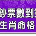 2016年數鈔票數到笑哈哈的生肖命格