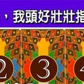 超神準測驗~.<<今年上半年，我頭好壯壯指數有多高？】。分享。留言16888一路發