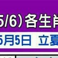 情況緊急~4/30~5/6 各生肖整體運勢