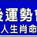 中年後運勢會大開的人生肖命格