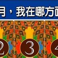 超神測驗~【未來一個月，我在哪方面最好命？】。留言1688一路發。。