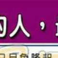 什麼手面相的人，最孝順父母？