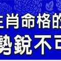 哪些生肖命格的人，猴年運勢銳不可擋？