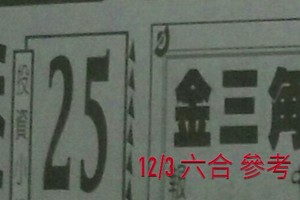 12/03 六合 。【金三角】【天天發】 。。參考。參考。。