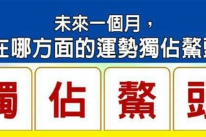 超神測驗~【未來一個月，我在哪方面的運勢獨佔鰲頭？】。留言1688一路發。。