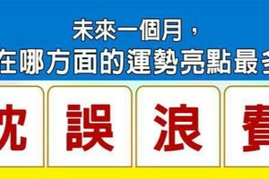 超神測驗~【未來一個月，我在哪方面的運勢亮點最多？】。留言1688一路發。。