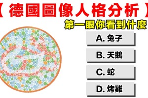 第一眼你看到什麼？德國圖像人格分析~~~