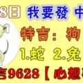 5月28日狗、豬、羊、蛇、兔、虎！中大獎！請留言9628【心想事成】