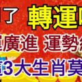 6月了，轉運啦，財運廣進，運勢紅火，非這3大生肖莫屬！