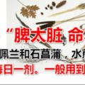 「脾太髒命不長」脾髒與不髒要看什麼呢