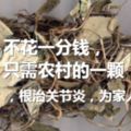 不花一分錢，只需農村的一顆「小草」，根治關節炎，為家人收藏！