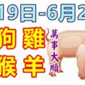 12生肖周運勢！豬、狗、雞、馬、猴、羊！萬事大順！（6月19日—6月25日