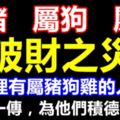 你家裡有屬豬狗雞的人嗎？他們未來三個月，難逃破財之災！