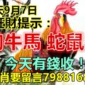 今天9月7日：每日旺財提示：雞狗牛馬，蛇鼠虎羊。今天有錢收！八大生肖要留言7988168必轉！