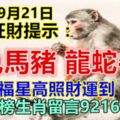 今天9月21日，每天旺財提示：猴兔馬豬，龍蛇牛雞。福星高照財運到！今天上榜生肖留言92168必轉！