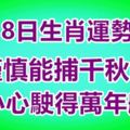 10月8日生肖運勢播報｜謹慎能捕千秋蟬，小心駛得萬年船