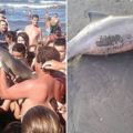 海豚寶寶被自私遊客拖上岸「輪流自拍」，結果竟導致它因缺水而痛苦死去…