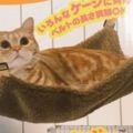 特地買了貓吊床給喵皇，結果「現實跟理想的差距」...真的讓網友超想哭！