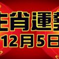 12月5日生肖運勢，小投資就換來鉅額財富，財運來的很快要把握