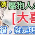 2月1號，屬狗人必有「大喜」，不錯，就是明天！