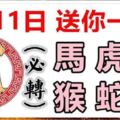 2月11日生肖運勢_馬、虎、兔大吉